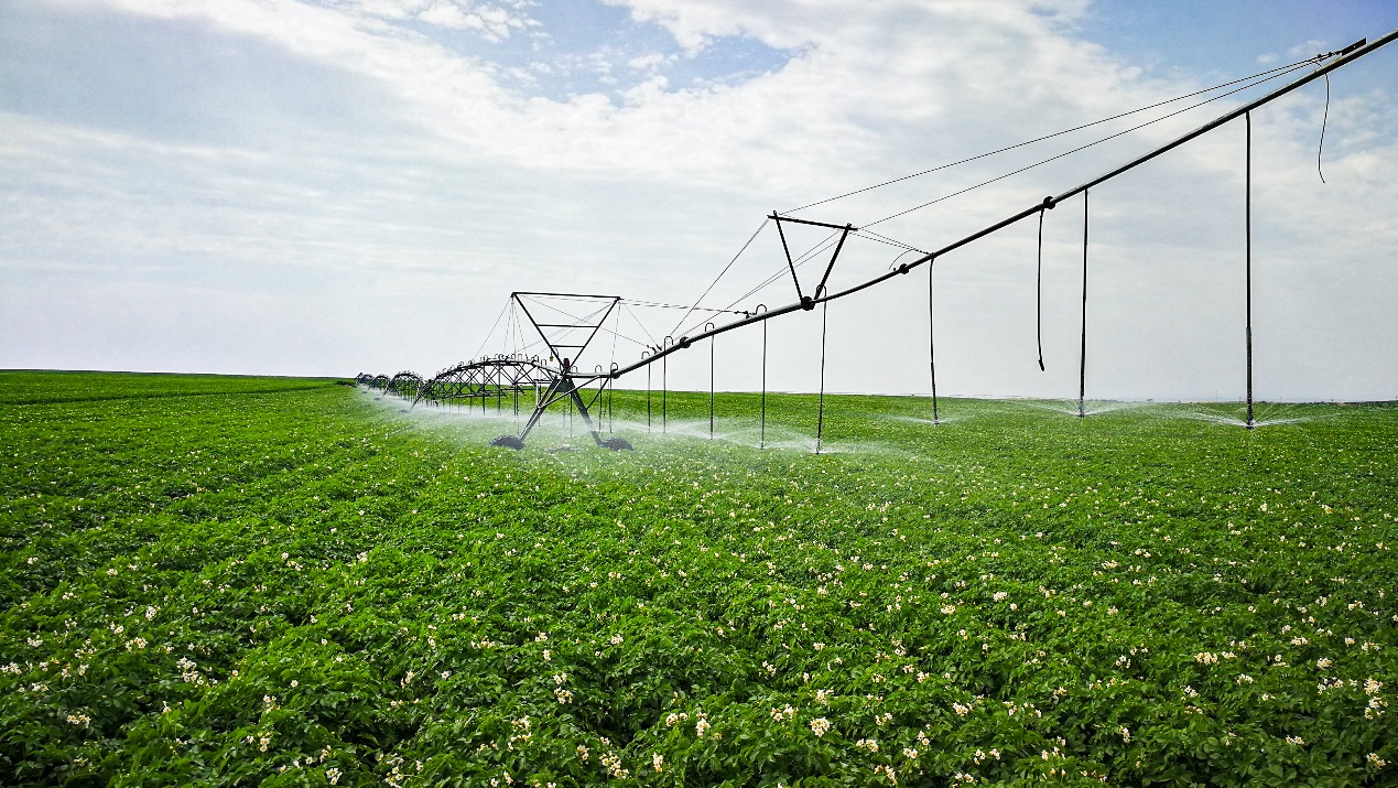 凯时|AG(AsiaGaming)优质运营商